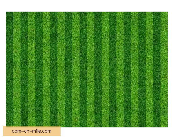 世界杯官方发布全新自热排水草坪提升比赛体验和场地品质